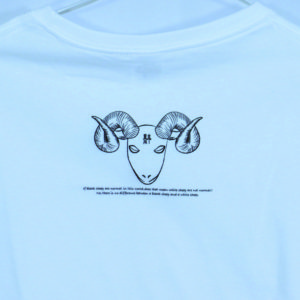 T12_01